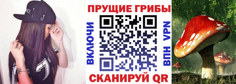 Галлюциногенные грибы ЛСД  купить   Томмот 