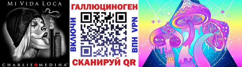 Галлюциногенные грибы Psilocybine cubensis Томмот