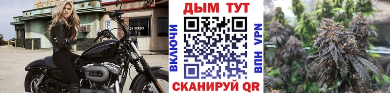 МАРИХУАНА ГИДРОПОН  сколько стоит  hydra ссылки  Томмот 